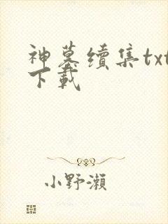 神墓续集txt下载