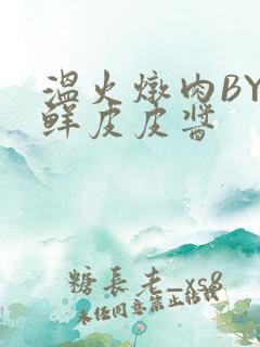 温火炖肉BY海鲜皮皮酱