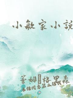 小敏家小说