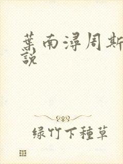 叶南浔周斯年小说