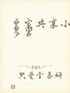 皇家共享小公主多男