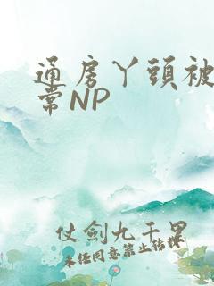 通房丫头被肉日常NP