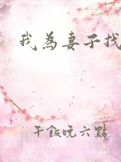 我为妻子找男妓