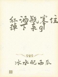 红酒瓶塞住不准掉下来gl