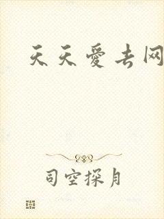 天天爱去网