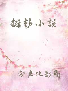 挺动小说