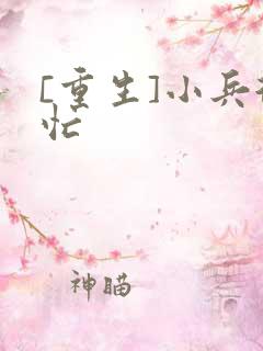 [重生]小兵很忙