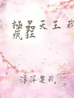 极品天王 我本疯狂