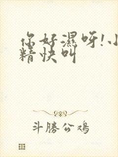 你好湿呀!小妖精快叫