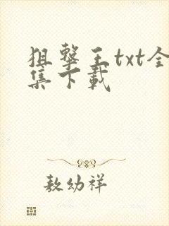 狙击王txt全集下载