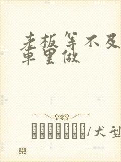 老板等不及了在车里做