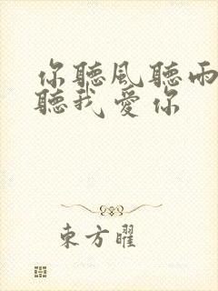 你听风听雨却不听我爱你