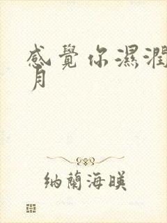 感觉你湿润我四月