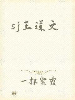 sj王道文