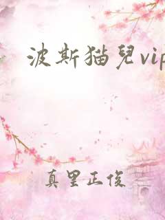 波斯猫儿vip