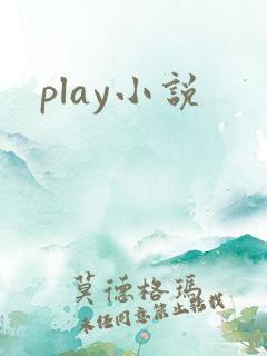 play小说