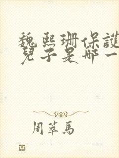 魏熙珊保护萧峥儿子是哪一集