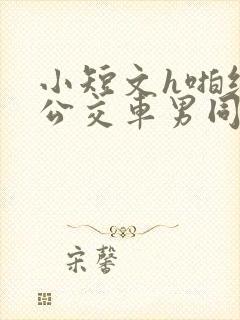 小短文h啪纯肉公交车男同