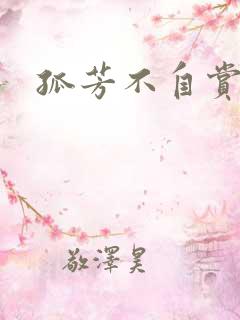 孤芳不自赏小说