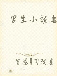 男生小说名字