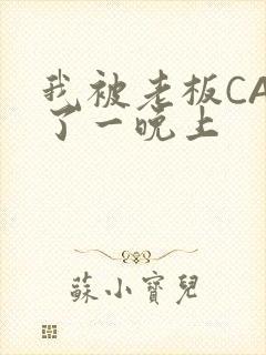 我被老板CAO了一晚上