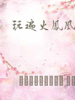 玩遍火凤凰队员