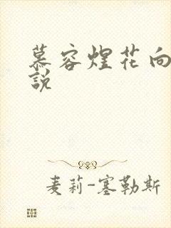 慕容煜花向晚小说