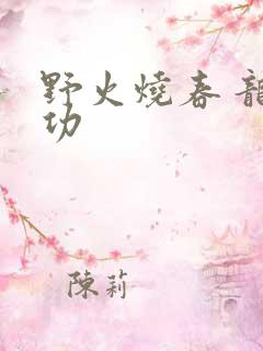 野火烧春 龙鸣功