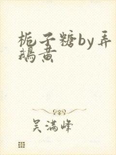 栀子糖by弄白鹅黄