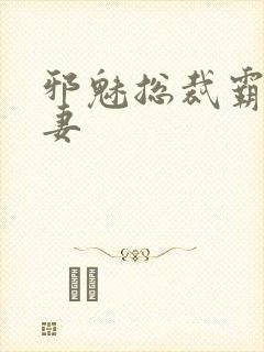 邪魅总裁霸占新妻