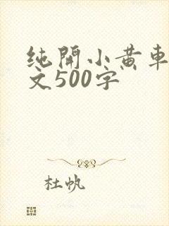 纯开小黄车小短文500字