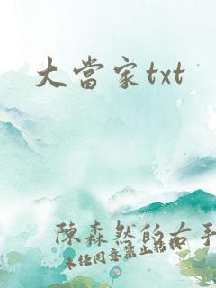 大当家txt