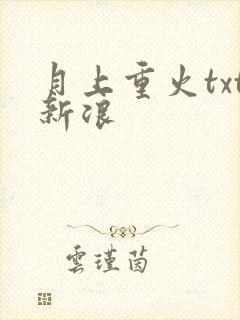 月上重火txt新浪
