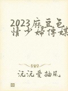 2023麻豆色情少妇传媒