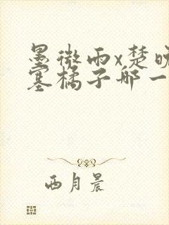 墨微雨x楚晚宁塞橘子哪一章