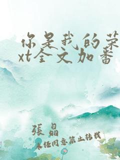 你是我的荣耀txt全文加番外