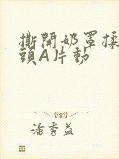 撕开奶罩揉吮奶头A片动