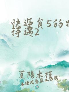 快递员5的特殊待遇2