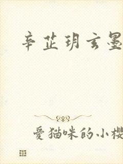 辛芷玥玄墨小说