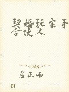 契婚玩家手册之合伙人