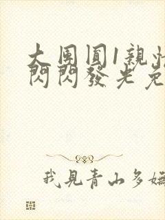 大团圆1亲情会闪闪发光免费