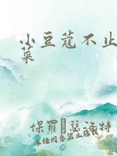 小豆蔻不止是颗菜