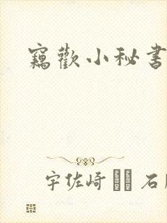 窃欢小秘书