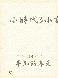 小时代3小说