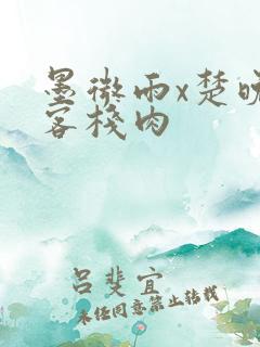 墨微雨x楚晚宁客栈肉