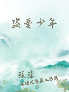 盗爱少年