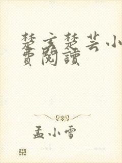 楚玄楚芸小说免费阅读