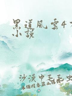 黑道风云4有声小说