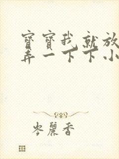 宝宝我就放进去弄一下下小说