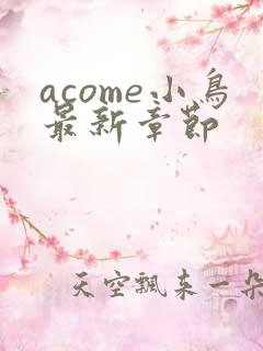 acome小鸟最新章节